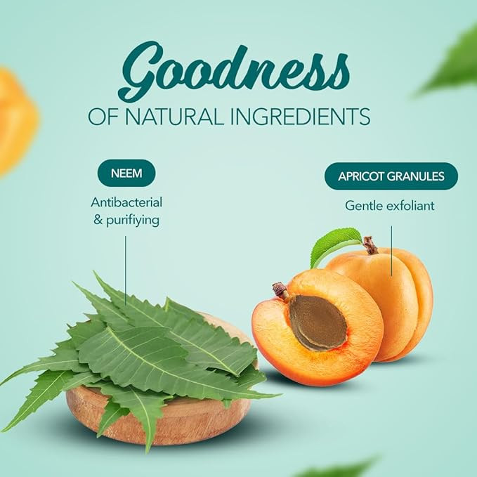 Himalaya Herbals Purifying Neem Scrub, 100gm