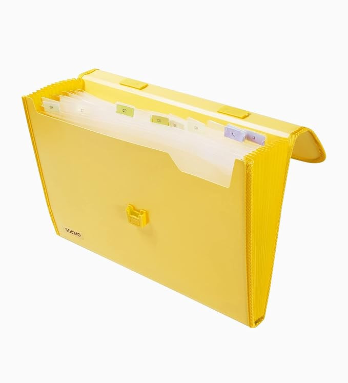 Amazon Brand - Solimo Plastic Expanding File Folder with 13 Pockets, Handle, and Buckle Closure, for A4 Size Documents (Yellow)